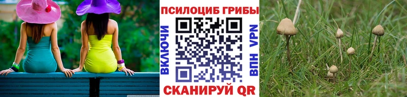 блэк спрут как зайти  Белый  Галлюциногенные грибы Cubensis 